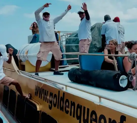 Golden Queen Trained Crew